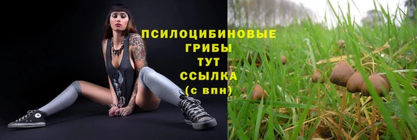 ПСИЛОЦИБИНОВЫЕ ГРИБЫ Беломорск