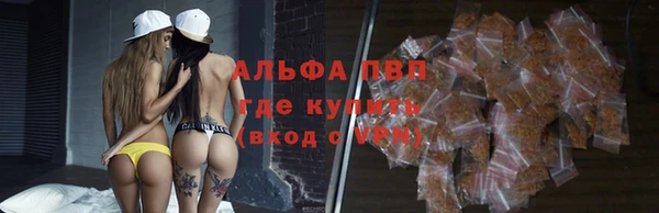 ПСИЛОЦИБИНОВЫЕ ГРИБЫ Беломорск